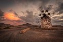 084 Fuerteventura, Molen van Tefia